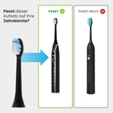 Denta-M Ersatz-Aufsteckbürsten 2 Stück (Erste Generation)